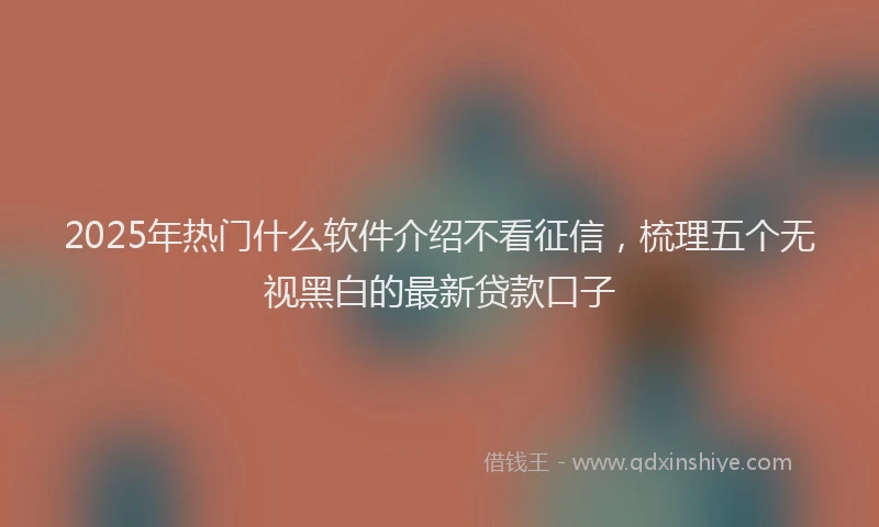 2025年热门什么软件介绍不看征信，梳理五个无视黑白的最新贷款口子