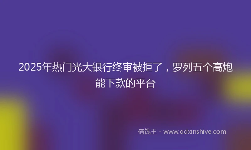 2025年热门光大银行终审被拒了，罗列五个高炮能下款的平台