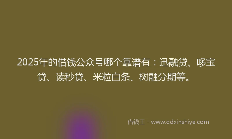 2025年的借钱公众号哪个靠谱有：迅融贷、哆宝贷、读秒贷、米粒白条、树融分期等。