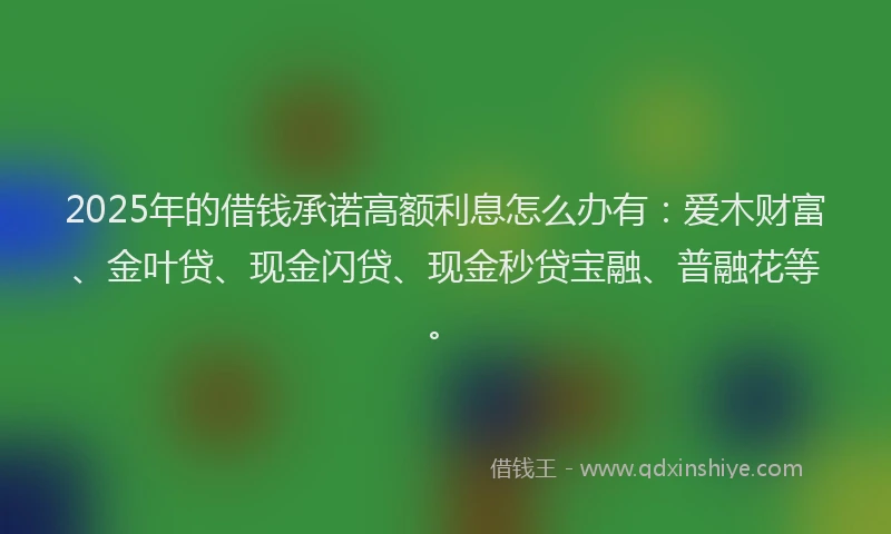 2025年的借钱承诺高额利息怎么办有：爱木财富、金叶贷、现金闪贷、现金秒贷宝融、普融花等。