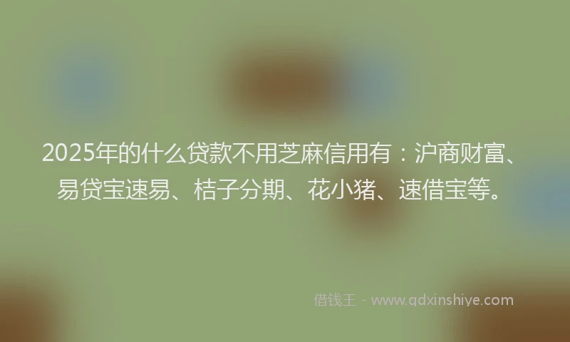 2025年的什么贷款不用芝麻信用有：沪商财富、易贷宝速易、桔子分期、花小猪、速借宝等。