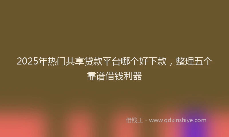 2025年热门共享贷款平台哪个好下款，整理五个靠谱借钱利器