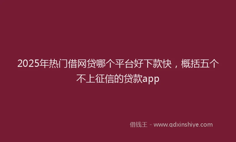 2025年热门借网贷哪个平台好下款快，概括五个不上征信的贷款app