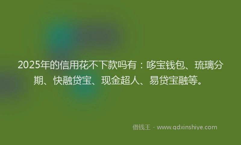 2025年的信用花不下款吗有：哆宝钱包、琉璃分期、快融贷宝、现金超人、易贷宝融等。