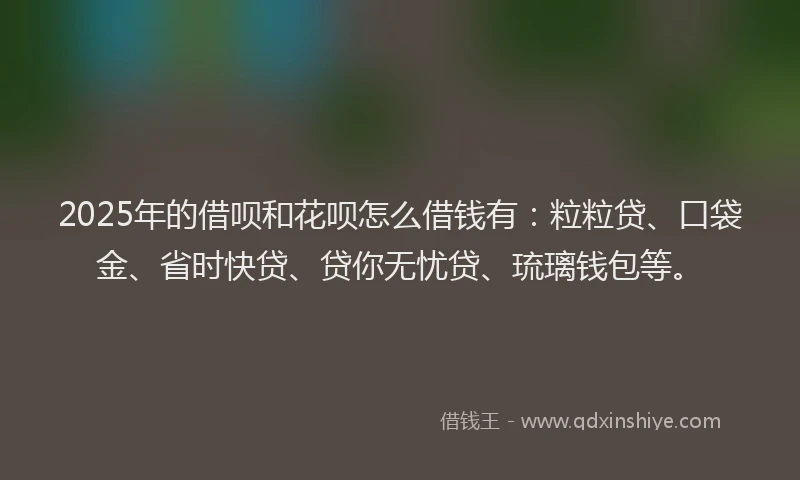 2025年的借呗和花呗怎么借钱有：粒粒贷、口袋金、省时快贷、贷你无忧贷、琉璃钱包等。