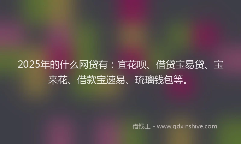 2025年的什么网贷有：宜花呗、借贷宝易贷、宝来花、借款宝速易、琉璃钱包等。