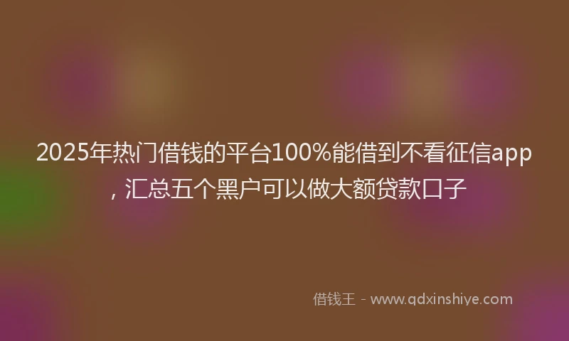 2025年热门借钱的平台100%能借到不看征信app，汇总五个黑户可以做大额贷款口子