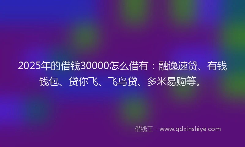 2025年的借钱30000怎么借有：融逸速贷、有钱钱包、贷你飞、飞鸟贷、多米易购等。