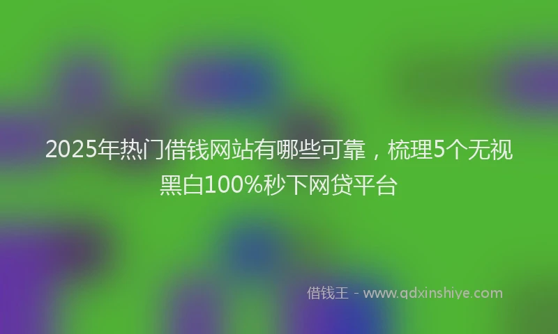 2025年热门借钱网站有哪些可靠，梳理5个无视黑白100%秒下网贷平台