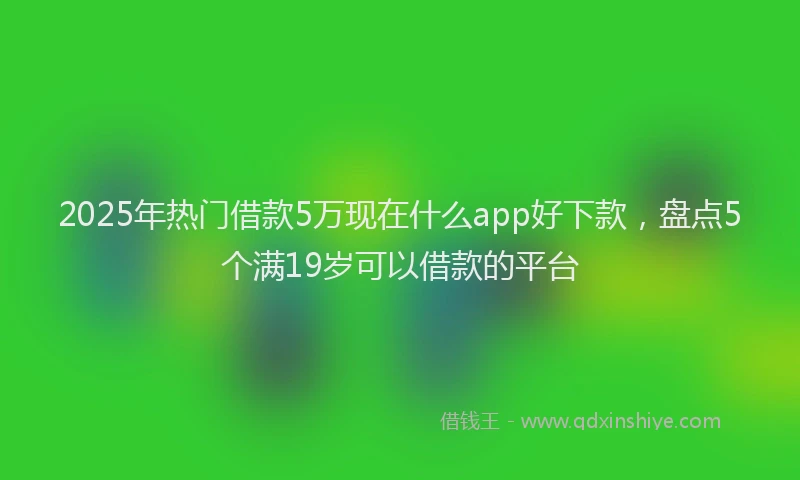 2025年热门借款5万现在什么app好下款，盘点5个满19岁可以借款的平台