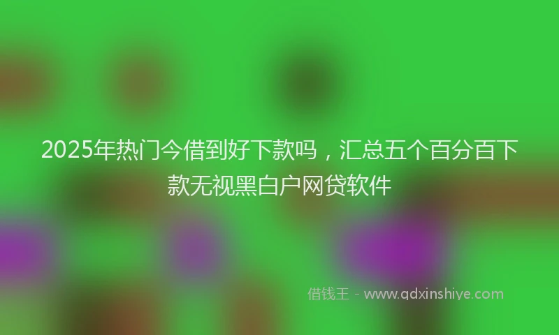 2025年热门今借到好下款吗，汇总五个百分百下款无视黑白户网贷软件