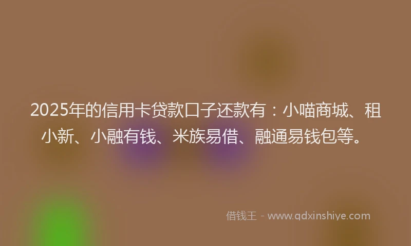 2025年的信用卡贷款口子还款有：小喵商城、租小新、小融有钱、米族易借、融通易钱包等。