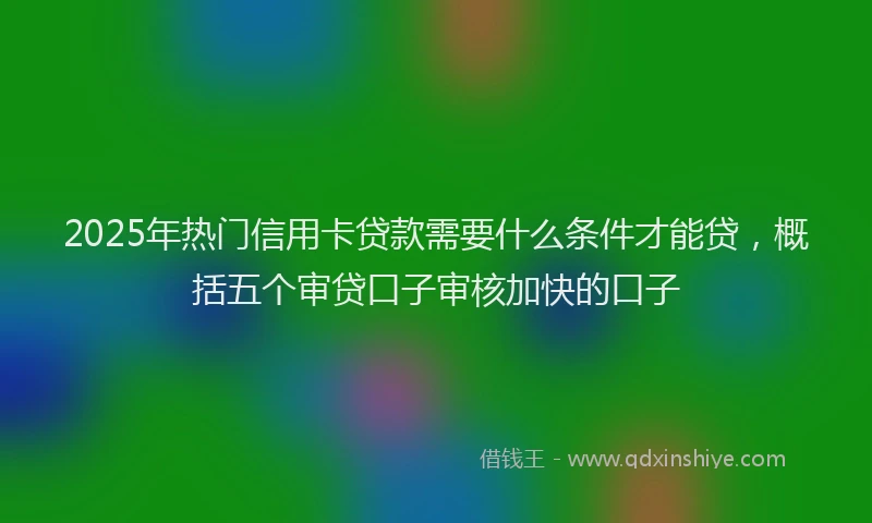 2025年热门信用卡贷款需要什么条件才能贷，概括五个审贷口子审核加快的口子
