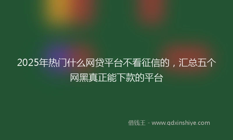 2025年热门什么网贷平台不看征信的，汇总五个网黑真正能下款的平台
