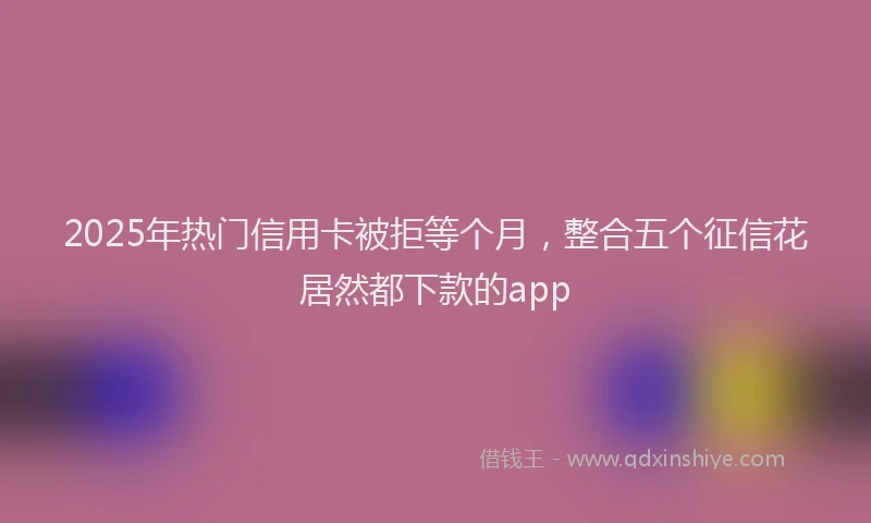 2025年热门信用卡被拒等个月，整合五个征信花居然都下款的app