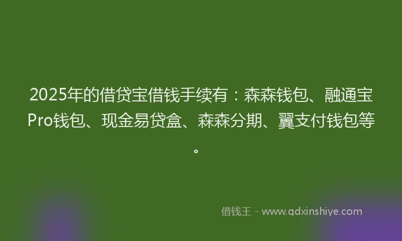2025年的借贷宝借钱手续有：森森钱包、融通宝Pro钱包、现金易贷盒、森森分期、翼支付钱包等。