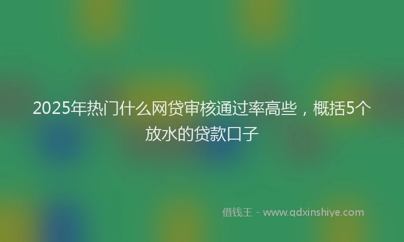 2025年热门什么网贷审核通过率高些，概括5个放水的贷款口子