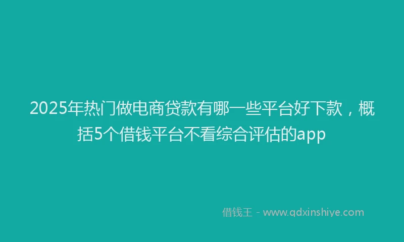 2025年热门做电商贷款有哪一些平台好下款，概括5个借钱平台不看综合评估的app