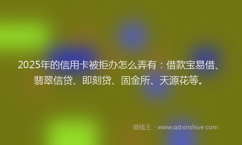 2025年的信用卡被拒办怎么弄有：借款宝易借、翡翠信贷、即刻贷、固金所、天源花等。