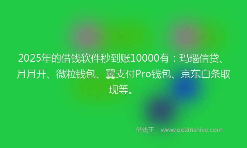2025年的借钱软件秒到账10000有：玛瑙信贷、月月开、微粒钱包、翼支付Pro钱包、京东白条取现等。