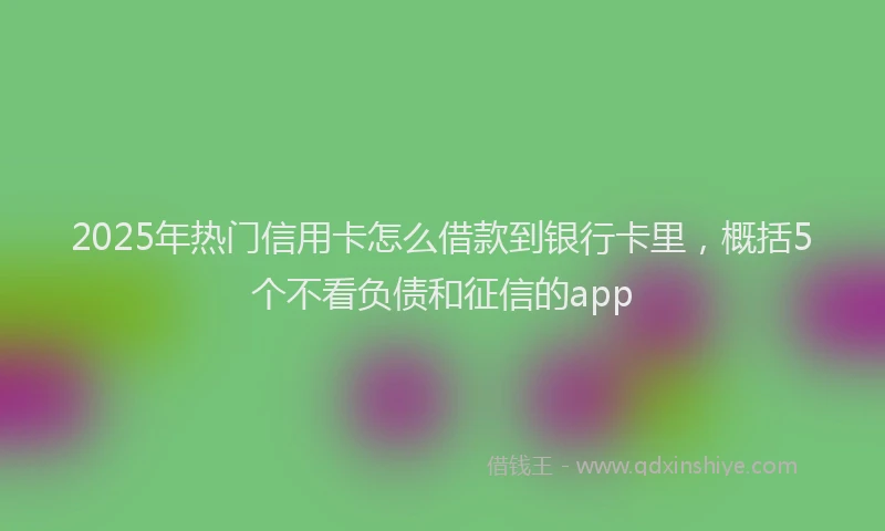 2025年热门信用卡怎么借款到银行卡里，概括5个不看负债和征信的app