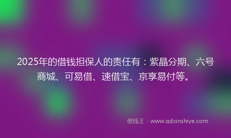 2025年的借钱担保人的责任有：紫晶分期、六号商城、可易借、速借宝、京享易付等。