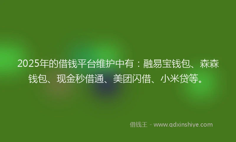 2025年的借钱平台维护中有：融易宝钱包、森森钱包、现金秒借通、美团闪借、小米贷等。