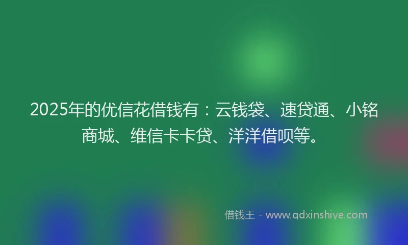 2025年的优信花借钱有：云钱袋、速贷通、小铭商城、维信卡卡贷、洋洋借呗等。