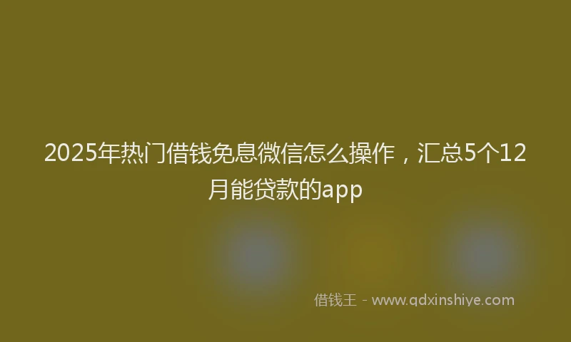 2025年热门借钱免息微信怎么操作，汇总5个12月能贷款的app