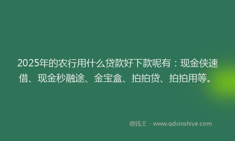 2025年的农行用什么贷款好下款呢有：现金侠速借、现金秒融途、金宝盒、拍拍贷、拍拍用等。