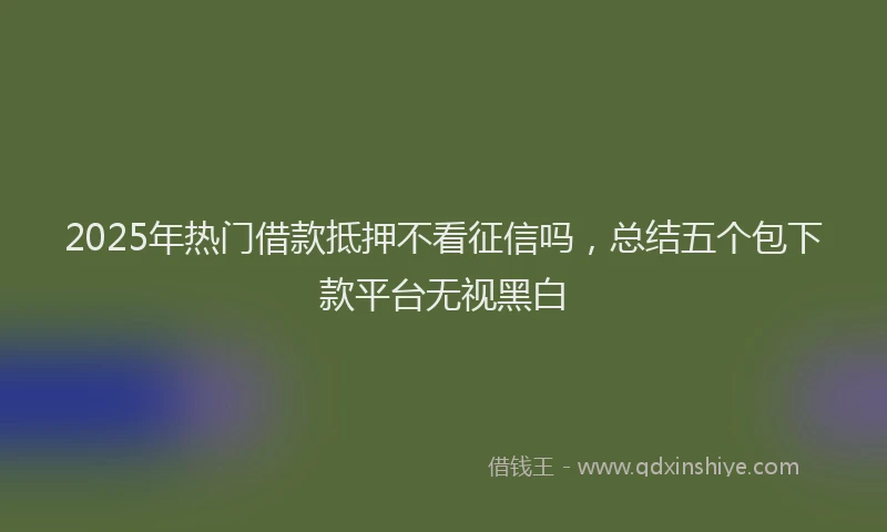 2025年热门借款抵押不看征信吗，总结五个包下款平台无视黑白