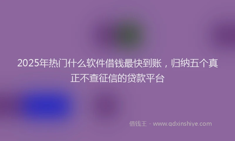 2025年热门什么软件借钱最快到账，归纳五个真正不查征信的贷款平台