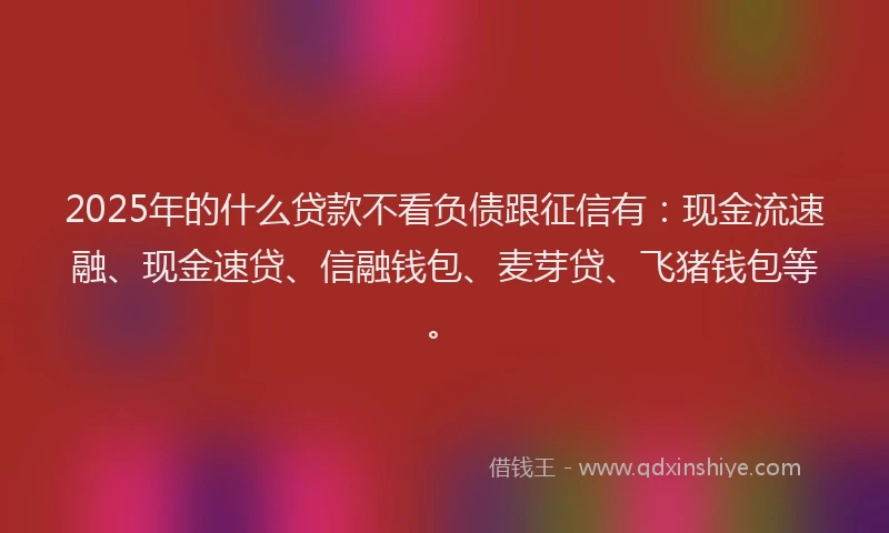2025年的什么贷款不看负债跟征信有：现金流速融、现金速贷、信融钱包、麦芽贷、飞猪钱包等。