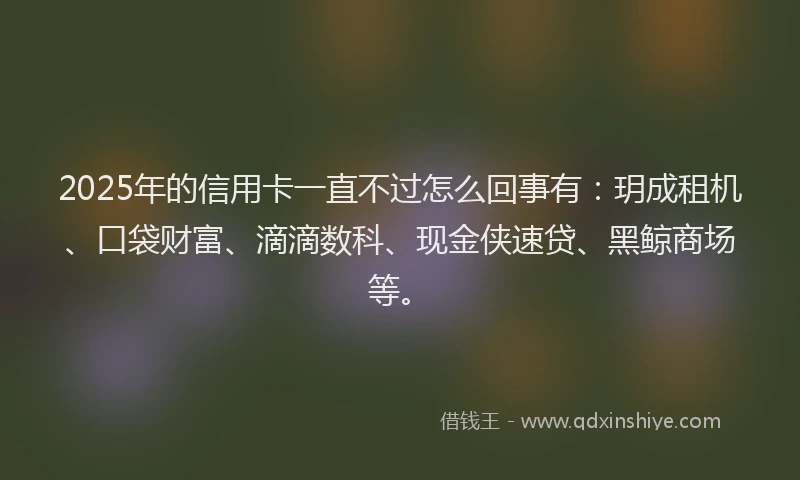 2025年的信用卡一直不过怎么回事有：玥成租机、口袋财富、滴滴数科、现金侠速贷、黑鲸商场等。
