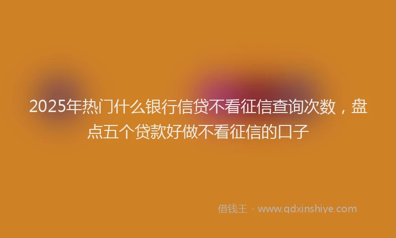 2025年热门什么银行信贷不看征信查询次数，盘点五个贷款好做不看征信的口子