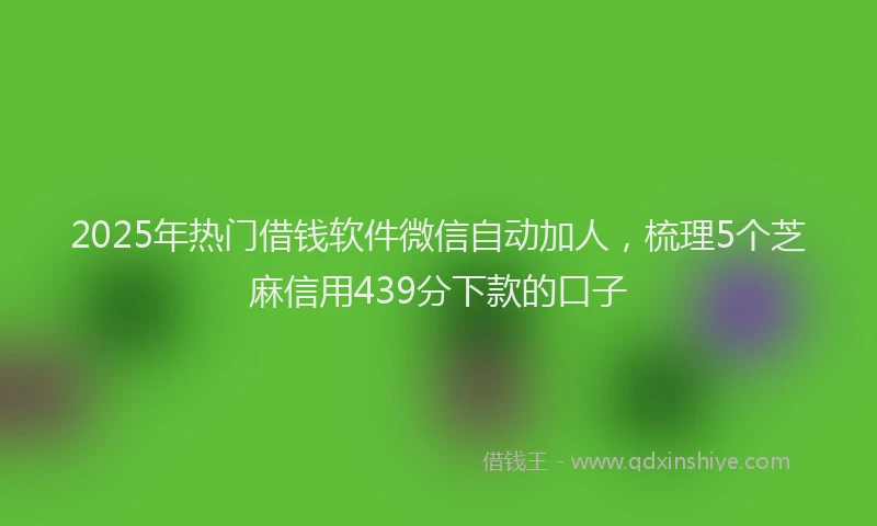 2025年热门借钱软件微信自动加人，梳理5个芝麻信用439分下款的口子