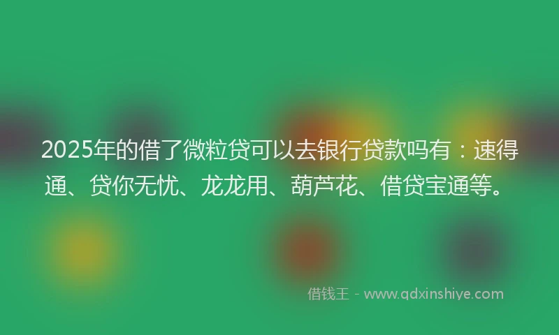 2025年的借了微粒贷可以去银行贷款吗有：速得通、贷你无忧、龙龙用、葫芦花、借贷宝通等。