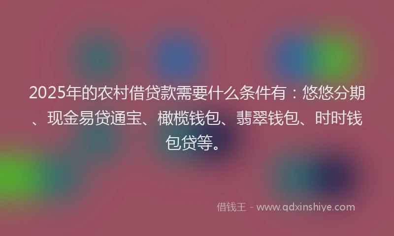 2025年的农村借贷款需要什么条件有：悠悠分期、现金易贷通宝、橄榄钱包、翡翠钱包、时时钱包贷等。