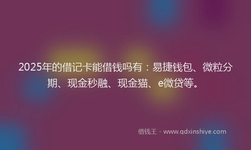 2025年的借记卡能借钱吗有：易捷钱包、微粒分期、现金秒融、现金猫、e微贷等。