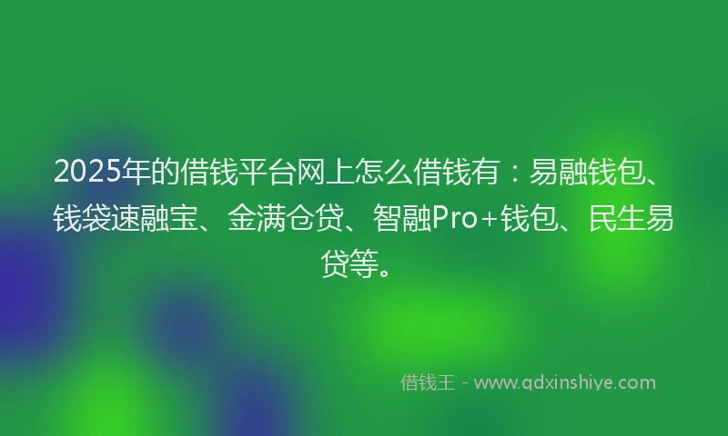 2025年的借钱平台网上怎么借钱有：易融钱包、钱袋速融宝、金满仓贷、智融Pro+钱包、民生易贷等。