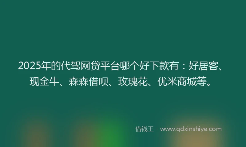 2025年的代驾网贷平台哪个好下款有：好居客、现金牛、森森借呗、玫瑰花、优米商城等。