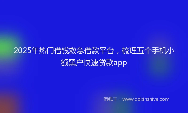 2025年热门借钱救急借款平台，梳理五个手机小额黑户快速贷款app