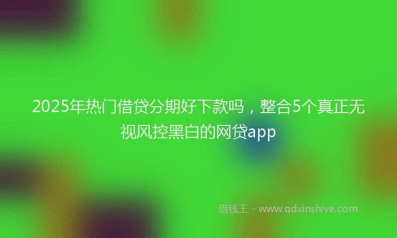 2025年热门借贷分期好下款吗，整合5个真正无视风控黑白的网贷app