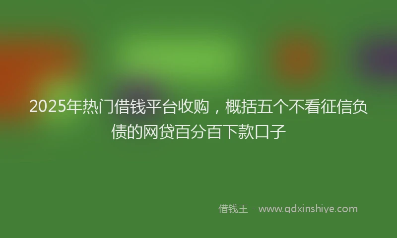 2025年热门借钱平台收购，概括五个不看征信负债的网贷百分百下款口子
