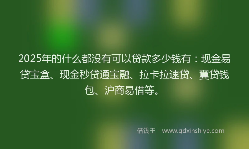 2025年的什么都没有可以贷款多少钱有：现金易贷宝盒、现金秒贷通宝融、拉卡拉速贷、翼贷钱包、沪商易借等。