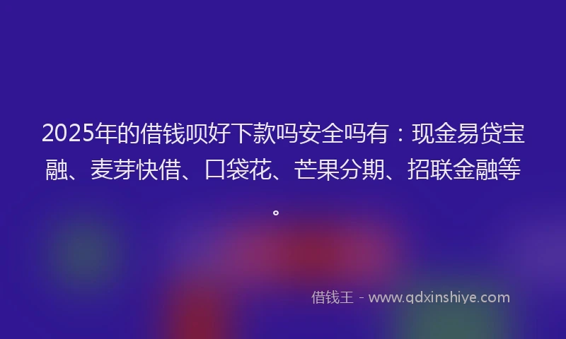 2025年的借钱呗好下款吗安全吗有：现金易贷宝融、麦芽快借、口袋花、芒果分期、招联金融等。