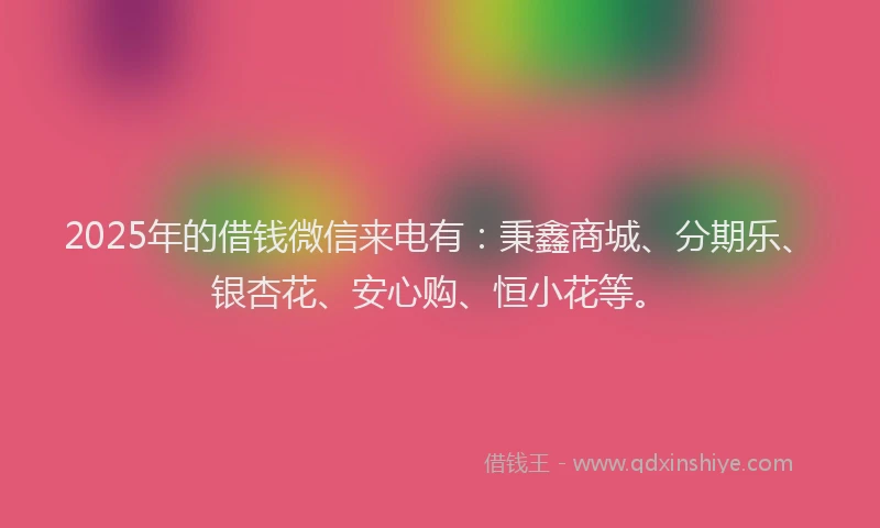 2025年的借钱微信来电有：秉鑫商城、分期乐、银杏花、安心购、恒小花等。
