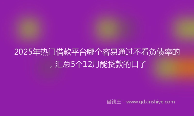 2025年热门借款平台哪个容易通过不看负债率的，汇总5个12月能贷款的口子