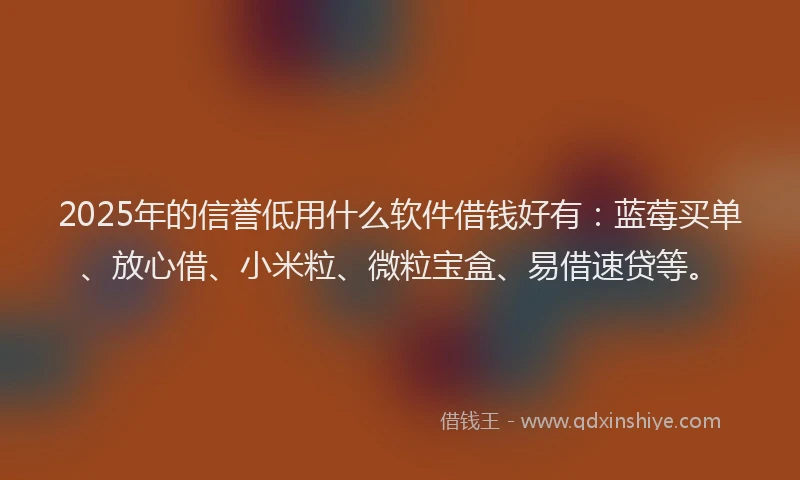 2025年的信誉低用什么软件借钱好有：蓝莓买单、放心借、小米粒、微粒宝盒、易借速贷等。