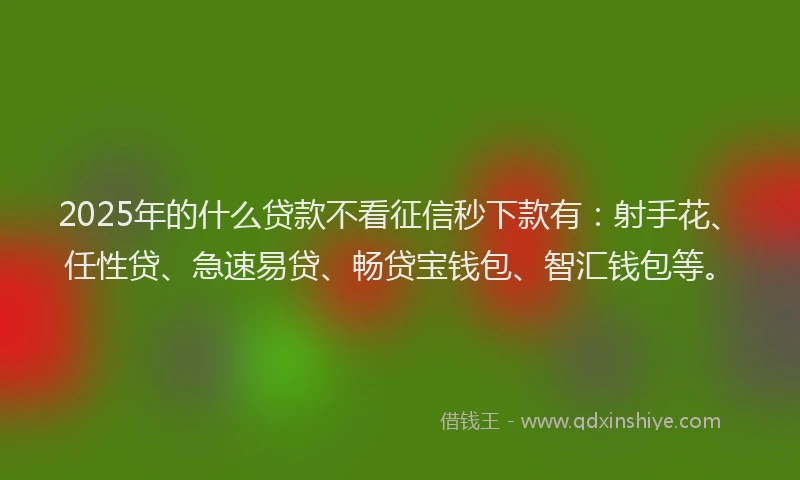 2025年的什么贷款不看征信秒下款有：射手花、任性贷、急速易贷、畅贷宝钱包、智汇钱包等。